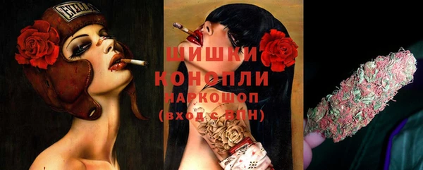 гидра Балабаново