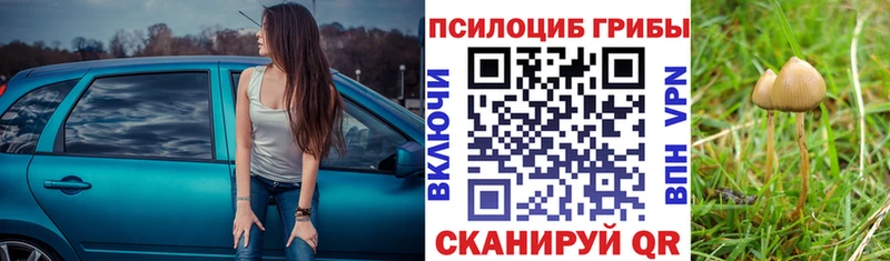 Галлюциногенные грибы Magic Shrooms  Давлеканово 